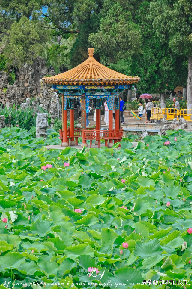 @外地人，不用找了！来昆明旅居锁死西山这三大片区