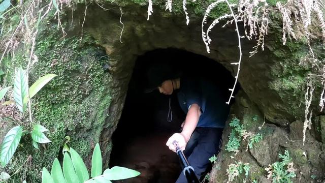 重庆大学城深山发现一排蛮子洞，内部有古人留下的文字和生活痕迹