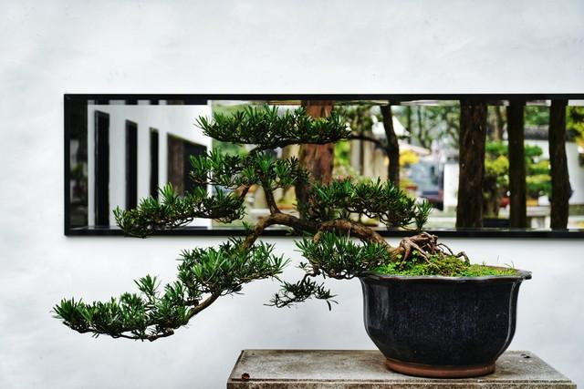 夫妻到了晚年，只要是“分房睡”，大都逃不过3个原因