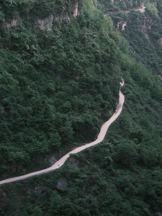 景区研学专属优惠礼包来了→