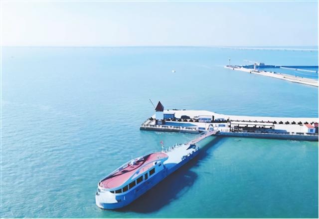 海上观桥、生态赏鸥、落日奇景……一张船票全搞定！“海上穿越胶州湾大桥”新航线今起开航