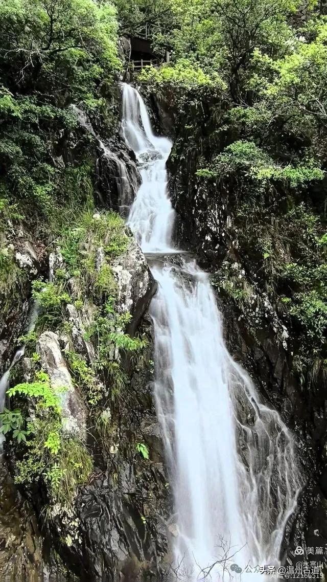 真正的小众避暑胜地！这方秘藏于千米高山之上的清凉秘境等你来！