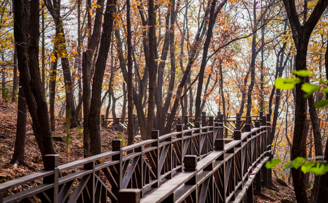 原来真的有城市，可以一天24小时都快乐~（1）