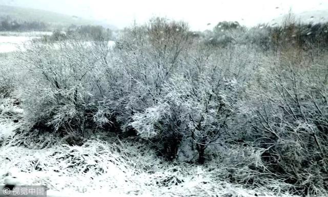 今年冬天冷吗？别信传言，国家气候中心给你交个底
