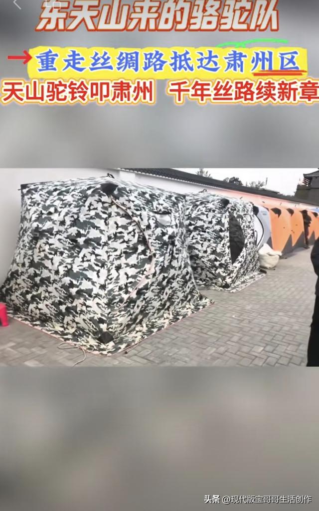 东天山来的骆驼队