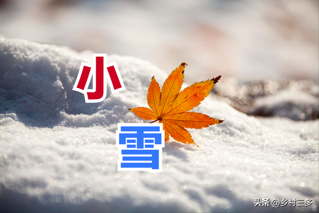 今日小雪，老人说最怕“小雪一日晴”，小雪晴天有啥预兆？