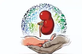 老中医最强补肾方法：早上五子衍宗丸，晚上六味地黄丸！图片