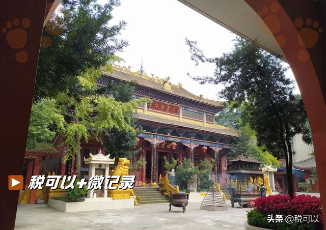 游郫都平乐寺：君平故里寻古意，一碗素茶享清幽