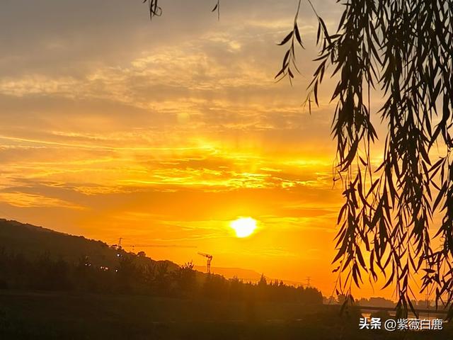 灞桥——这水，这柳