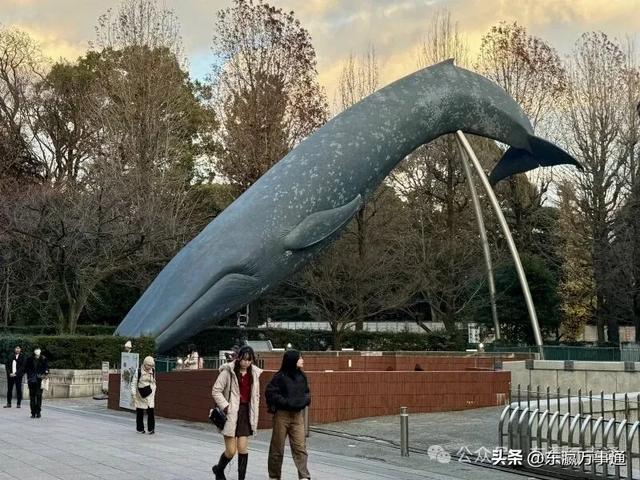 傅滔滔:今天,我走进了上野公园