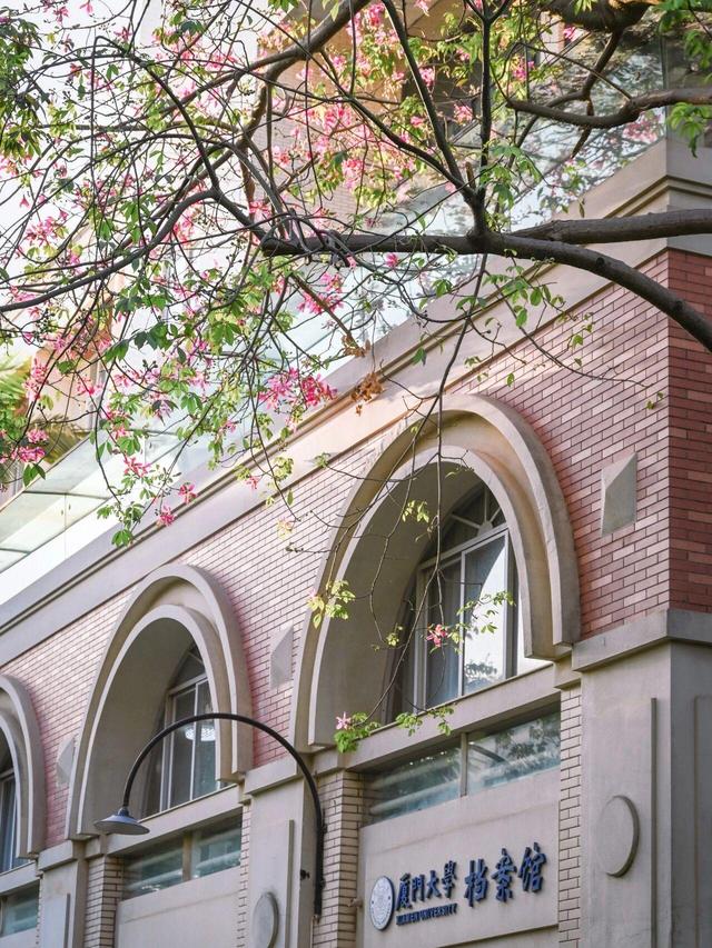 厦大，粉了🌸！粉了😍！