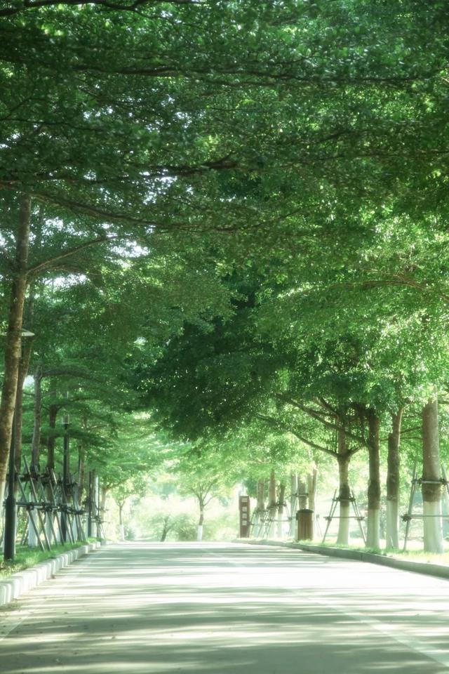 @XMUer，厦园这些路你都走过吗？