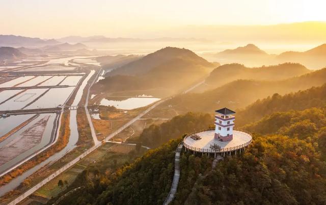 台州春行录：山海寻鲜，花间寻梦