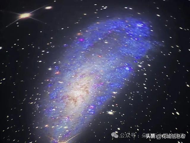 在攀枝花的百年彝族古村观星赏月！