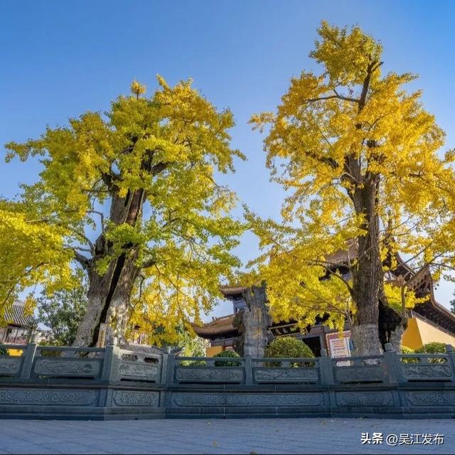 周末去打卡丨太好拍~东太湖绝美机位，“框框”出大片！