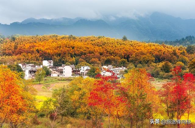 11 月不乱跑，这 10 个地方人少景绝，错过等一年的秋日盛宴
