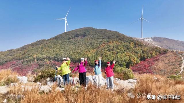 赏秋正当时!镇平老庄镇:红叶漫山引客来 服务暖心助发展
