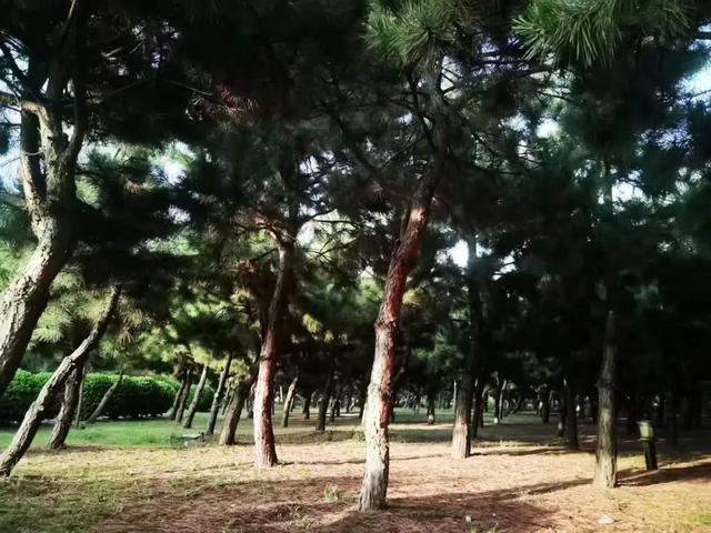 处暑 解锁潼关“凉热交织”的初秋玩法~