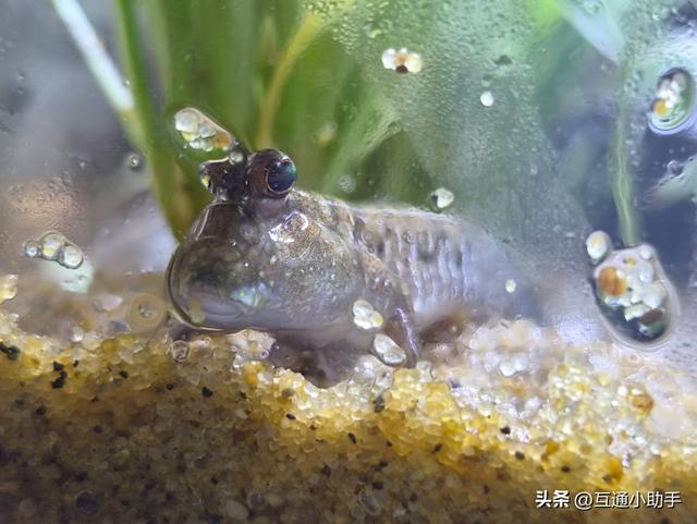 三星 Galaxy S26 评测：三星终于做出了一台近乎完美的小屏旗舰