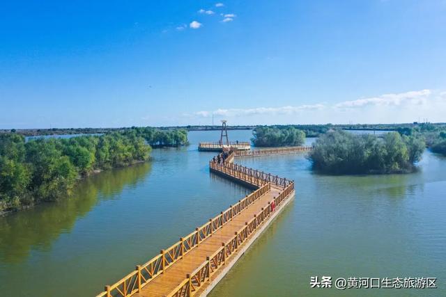 沿着黄河遇见海|市文旅集团推出益智文创产品,解锁生态与匠心的潮玩新体验