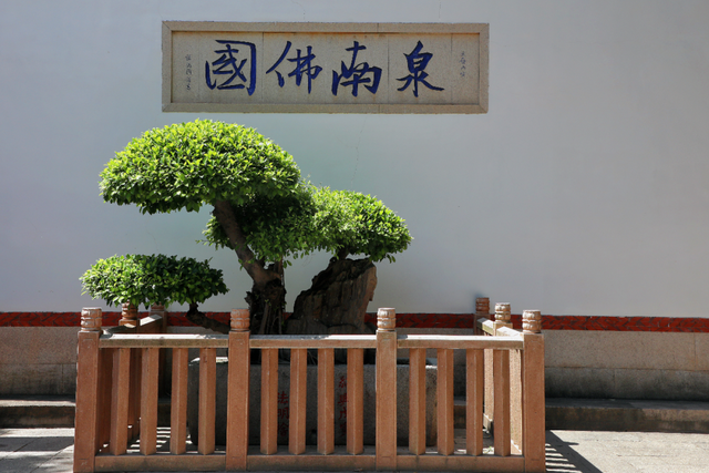 承天寺：藏在市中心的“山林”