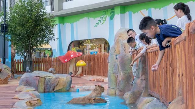 【萌狮叫醒服务】上线!快来给“最萌查房官”取个神仙名字吧!