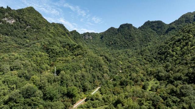 守护生态秘境——走进徽县三滩森林公园