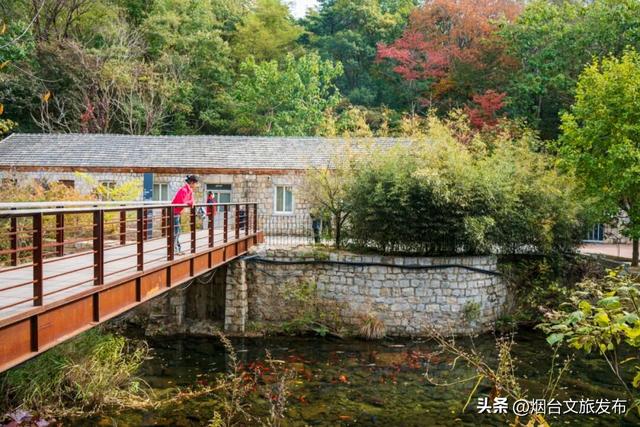 【乐游烟台】烟台绝美赏秋地即将封山，别错过
