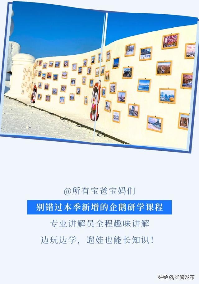 北湖企鹅村第二季预计12月25日焕新开园