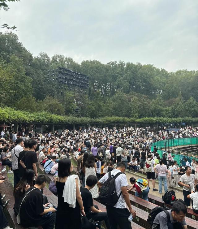 上海人国庆勇闯南京，3天暴走实录！