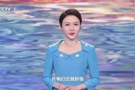 《2024中国诗词大会》：康震不在、龙洋发散少了，选手存在感增强图片