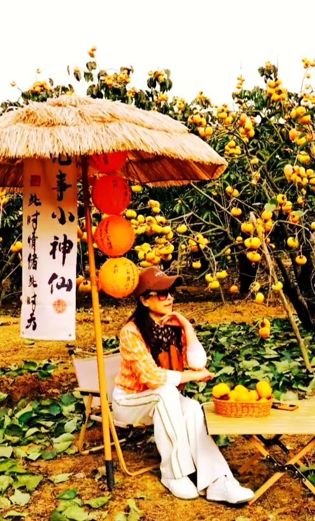 桂林：不入柿园，怎知秋色几许！