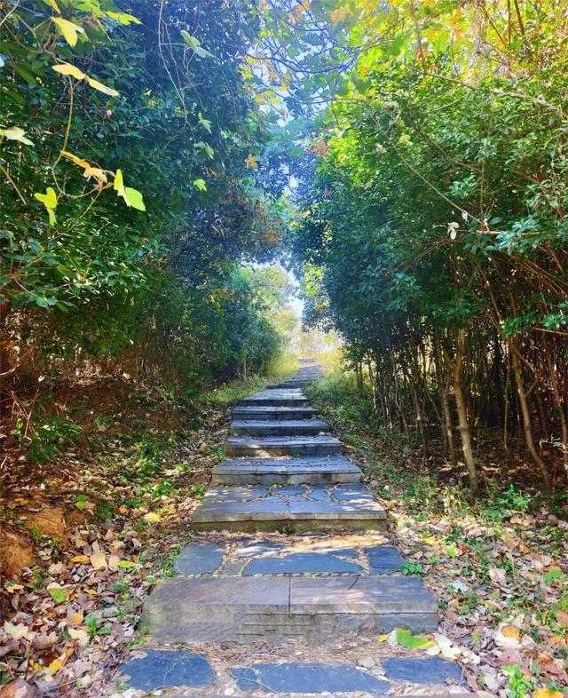 国际山岳日|今天适合爬山~