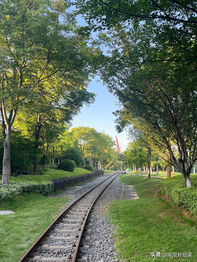 南昌凤凰洲公园，20块坐网红小火车！