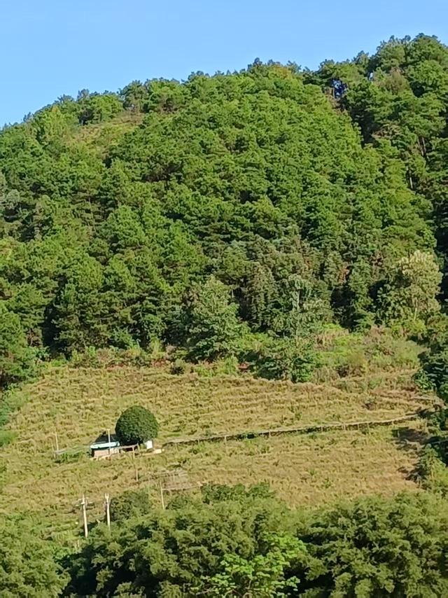 湘桂游记：一、风景在路上