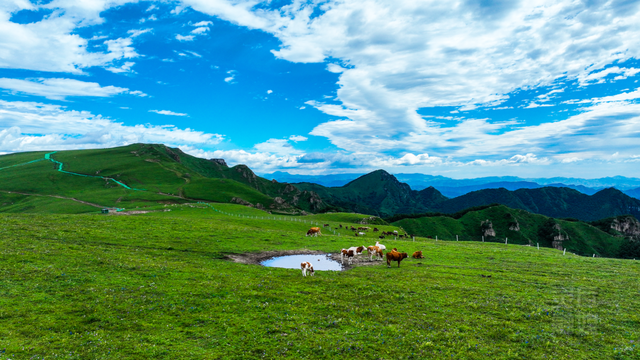 灵丘：红色热血沃热土 绿色发展焕新颜