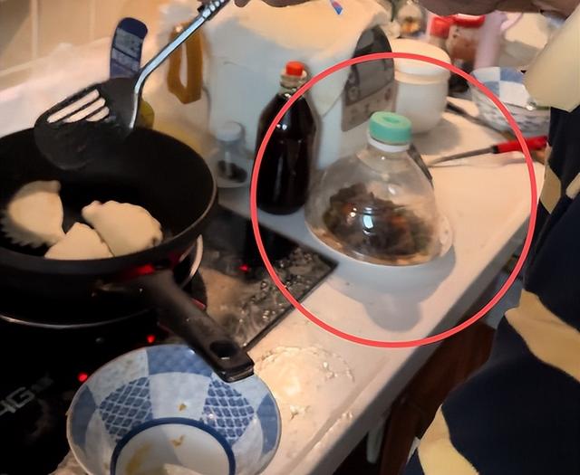 90岁牛犇近况曝光，做饭环境脏乱差，用塑料瓶保温菜、拖把当拐杖