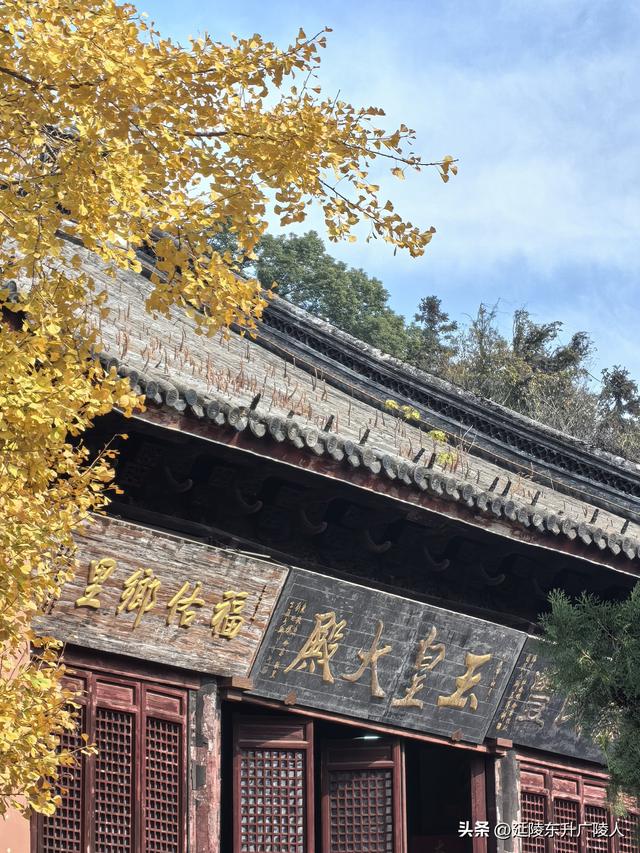 常州城东横山桥白龙观 冬日菊花节 采菊东篱下，悠然见横山