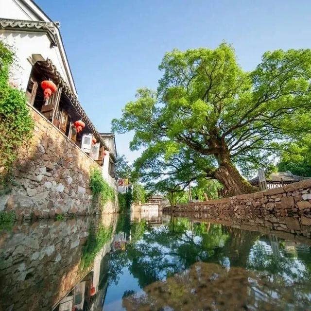 苏州这些地方只有27℃！进来“划水”！