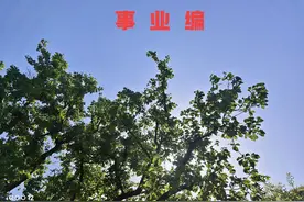 事业编九级转公务员迎来新机遇！掌握这三步路径可实现图片