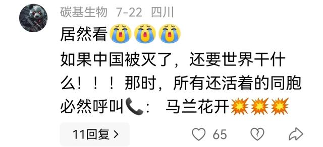 启动代号：马兰花开！当有一天中国不复存在，要这世界何用？！