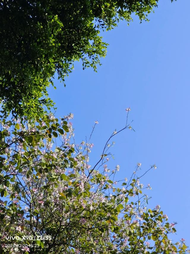 2026新年广州行之李小龙祖居