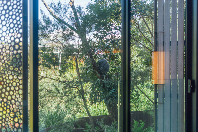 今年冬天，我想去这里过夏天