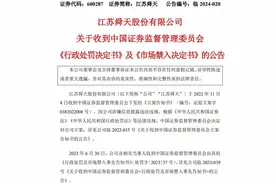 江苏舜天：财务造假13年，2009年至2021年虚增营收103亿元！图片