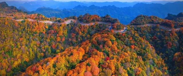 央视点赞的旺苍红叶有多绝？这些亮眼特色，承包你整个秋天的浪漫