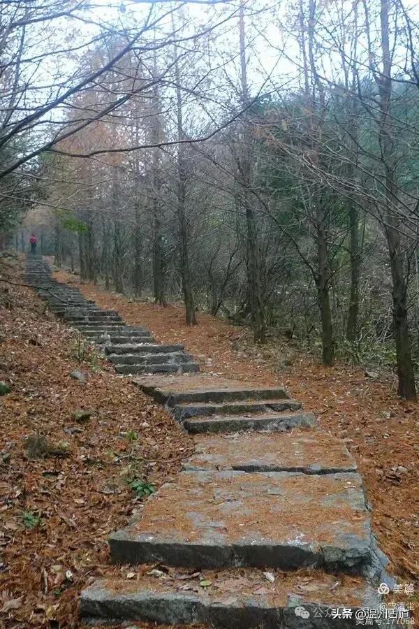 远上乌岩岭上斜,白云生处白云尖!温州这处秋日美景值得一去!