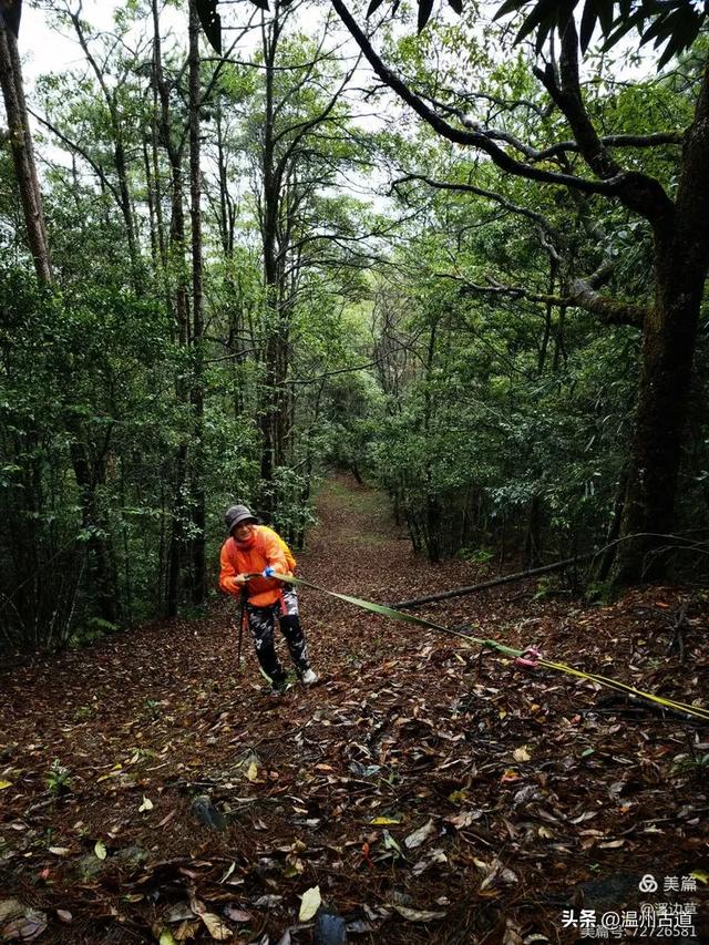 秋高气爽徒步季,浙南第一高峰等你走起!