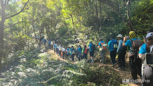 穿越万绿湖大型徒步
