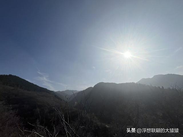 游赏过九鼎山后，我又跑到一户院里“强买”了大爷种在路边的白菜