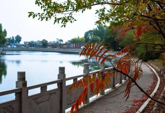 14个免费公园遛娃全攻略：看猴、玩水、露营、徒步一次集齐！速藏